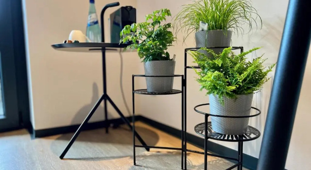 Номер Standard Hotel Drei Höfe