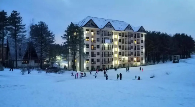 Апартаменты Apartman Aleksandra S27 - Vila Elsa I Zlatibor