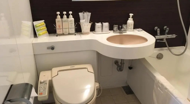 Одноместный номер Hotel Siena