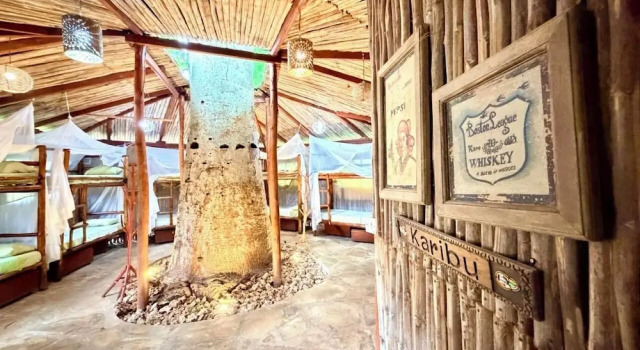 Кровать в общем номере Staysocial Diani-Backpackers &Social Hub