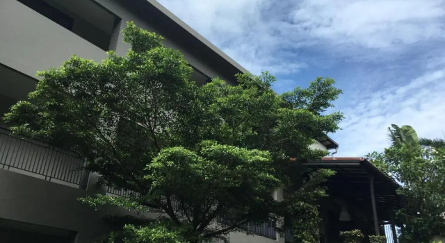 Номер Standard Baan Andaman Sea Surf
