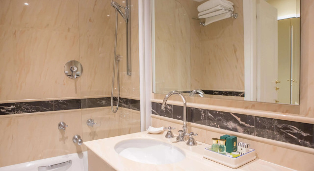 Одноместный номер Classic Hotel Bristol Palace