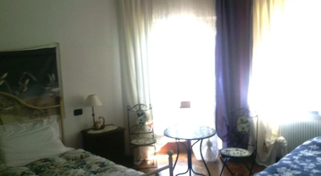 B&B Pane & Tulipani