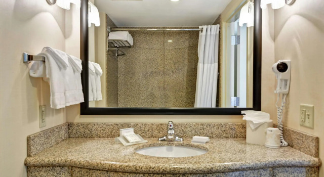 Четырёхместный номер Standard Hilton Garden Inn Conway