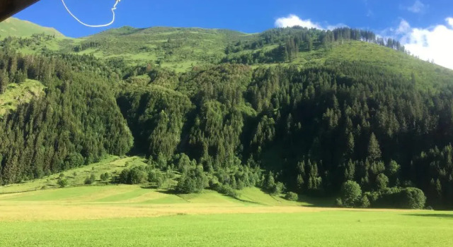 Апартаменты c 1 комнатой Alpenhaus Bichlbach