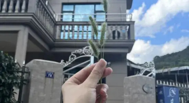 Xiangshan Fancheng Homestay, Prenota Hotel Hotel a Ningbo con parcheggio, Parcheggio