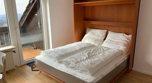 Gemütliche Ferienwohnung Harz Braunlage Hohegeiß