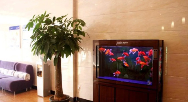 7Days Inn Zixing Dongjianghu, Prenota Hotel Hotel economici a Chenzhou