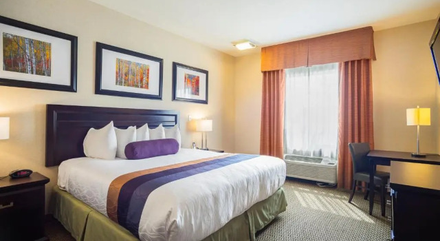 Номер Standard Best Western Plus St Albert