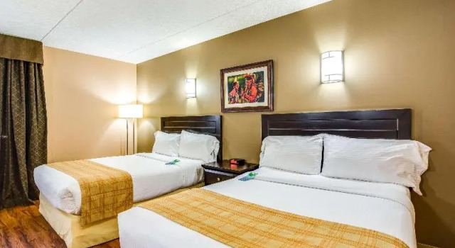 Четырёхместный люкс Quality Hotel & Conference Centre