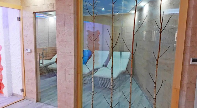 Kopaonik Milmari Spa and Wellness Wooden Horn S21