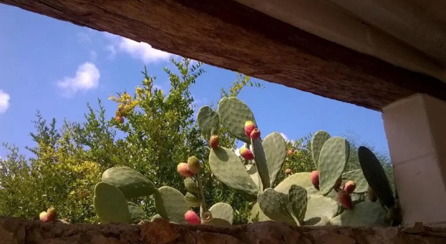 Коттедж с 2 комнатами Trulli Aurasia