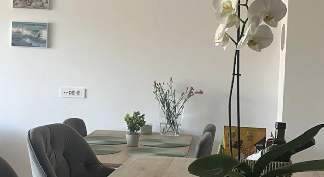 Apartment Mariner 1 With Heated Pool