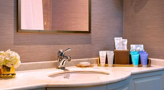 Люкс Terrace Rixos Pera Istanbul