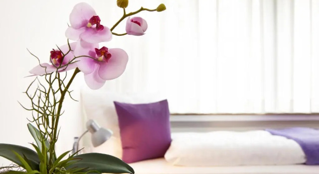 Одноместный номер Economy Hotel Hegemann garni