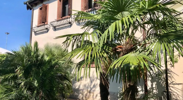 Ca delle palme, Prenota Hotel Martellago Veneto
