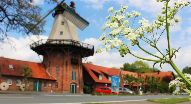 Zur Querensteder Mühle, Забронировать Отель Бад-Цвишенан East Frisia