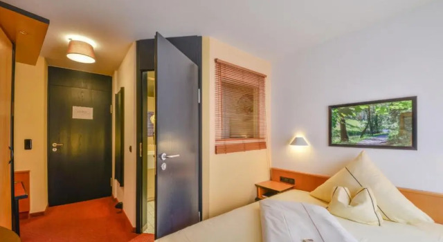 Одноместный номер Standard Hotel Lehmeier