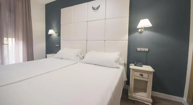 Двухместный номер Hotel Los Angeles Granada