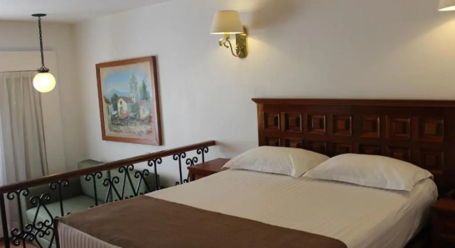 Двухместный номер Superior Hotel de Mendoza