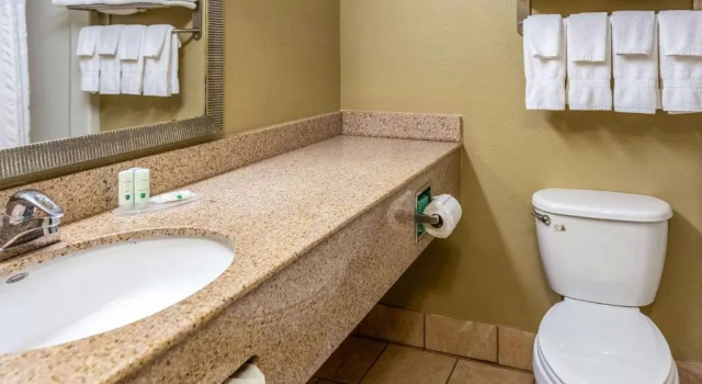 Люкс Standard Quality Inn & Suites Seville