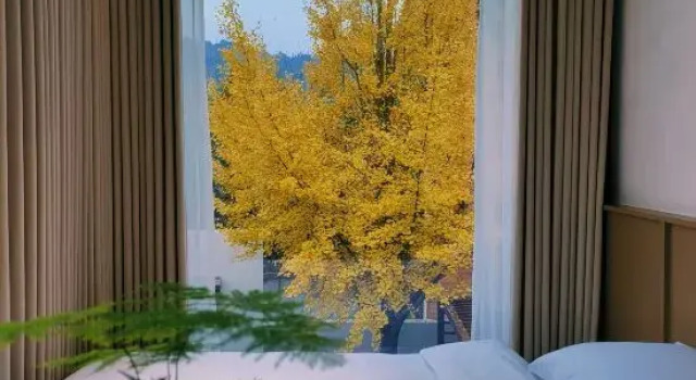 Люкс Luxury Shan Lan· Tao Yuan