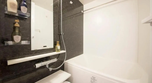 Одноместный номер Economy BAY HOTEL Urayasu Station