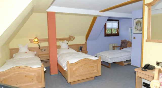 Трёхместный номер Standard Hotel Sarbacher
