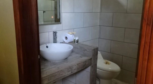 Номер Standard Casa Caribbean Coconut