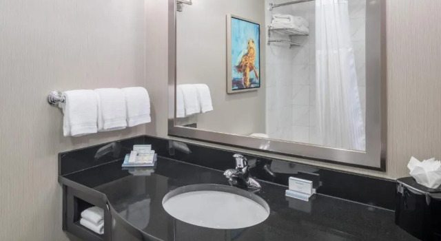 Двухместный номер Standard Hilton Garden Inn Charleston Waterfront/Downtown