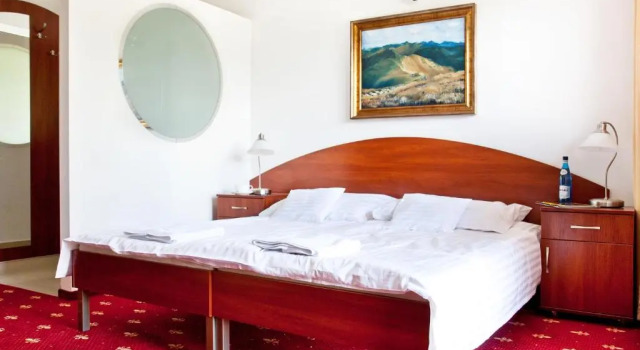 Номер Premium Villa Park