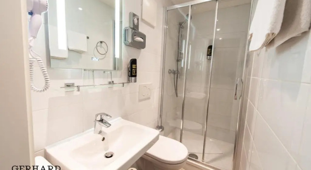 Трёхместный номер Standard Hotel Gerhard
