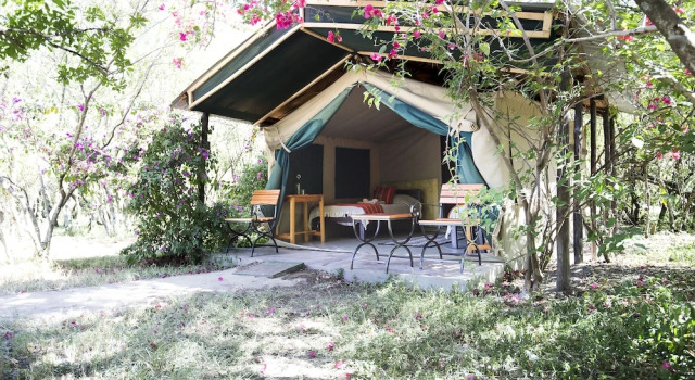 Номер Standard Mara Big Five Lodge