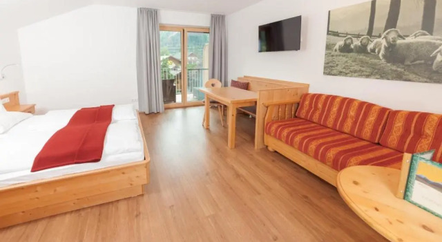 Студия с балконом Aktiv & Sport Apartments Oberjörg