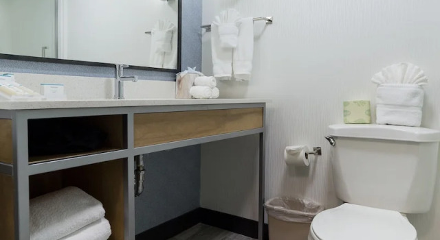 Люкс Hilton Garden Inn Atlanta Marietta