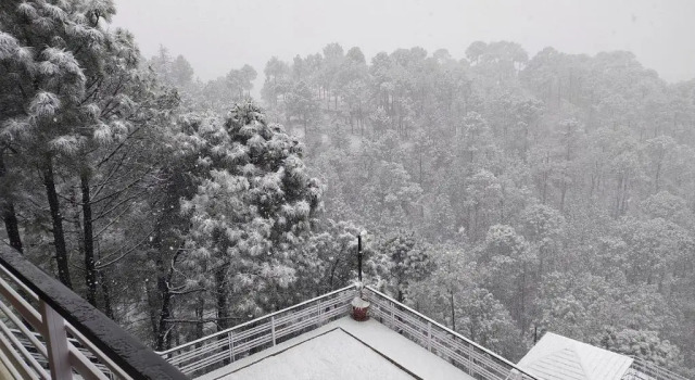 Трёхместный номер Luxury Kanishka Retreat Resort Chail