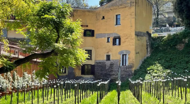 Студия Il mulino di Trastevere - My Extra Home