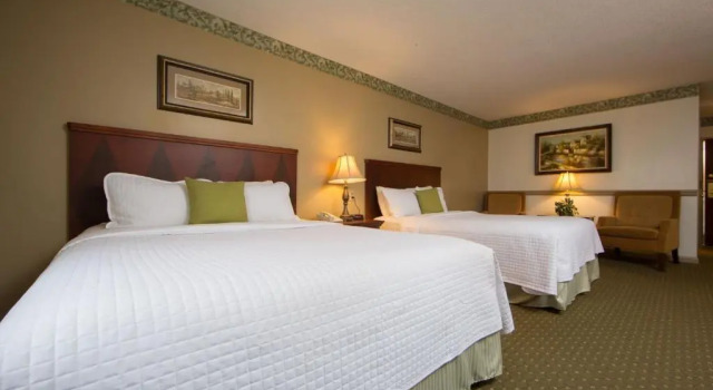 Четырёхместный номер Standard Villa Roma Resort and Conference Center