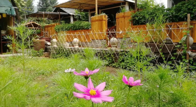 Номер Standard B&B  under  GreatWall