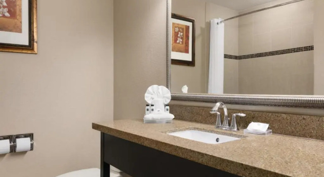 Номер Standard Country Inn & Suites by Radisson, Tampa Airport North, FL
