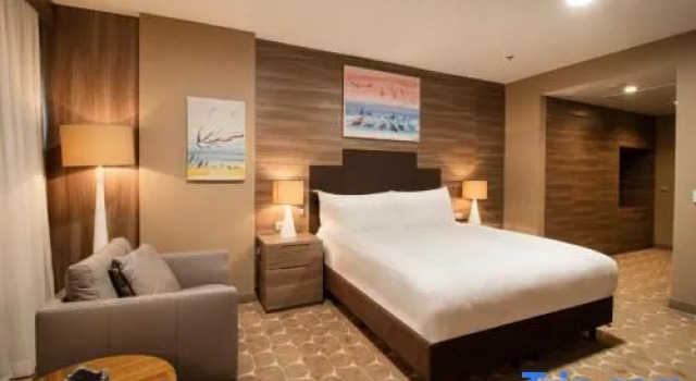 Люкс c 1 комнатой DoubleTree by Hilton Ankara Incek
