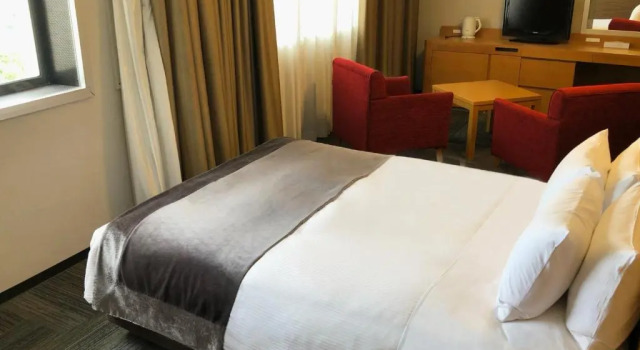 Двухместный номер Deluxe Art Hotel Narita