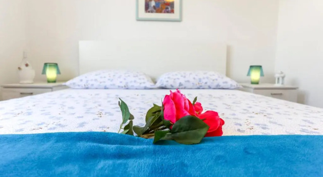 Апартаменты c 1 комнатой Guest House Kovacevic