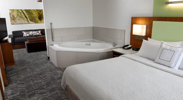 SpringHill Suites by Marriott Sioux Falls, Забронировать Отель Отели Сиу-Фолс 3 звезды, 3*