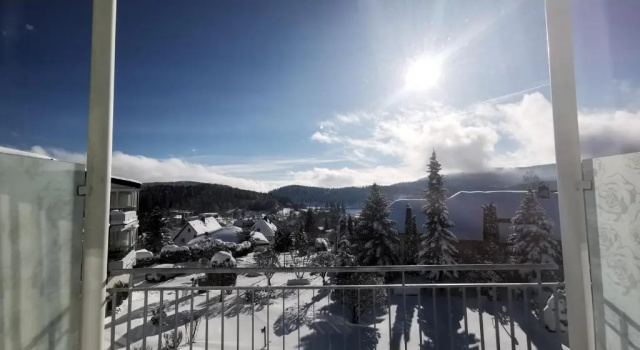 Двухместный номер Standard Parkhotel Flora am Schluchsee