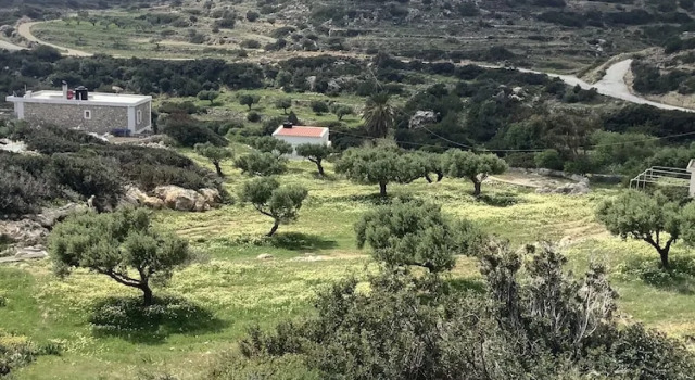 Апартаменты с видом на море Kalliope Studios Karpathos