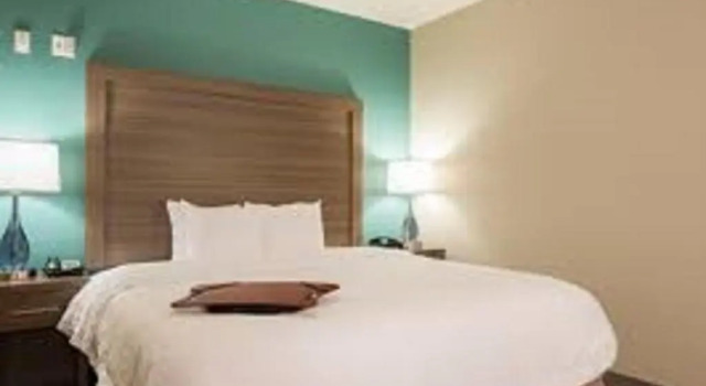 Номер Standard Hampton Inn Greenville/I-385 Haywood Mall, SC