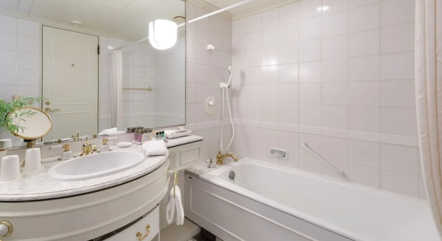 Двухместный номер Moderate Dai-ichi Hotel Tokyo