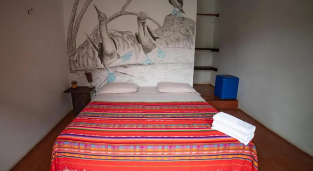 Двухместный номер Standard Galapagos Morning Glory