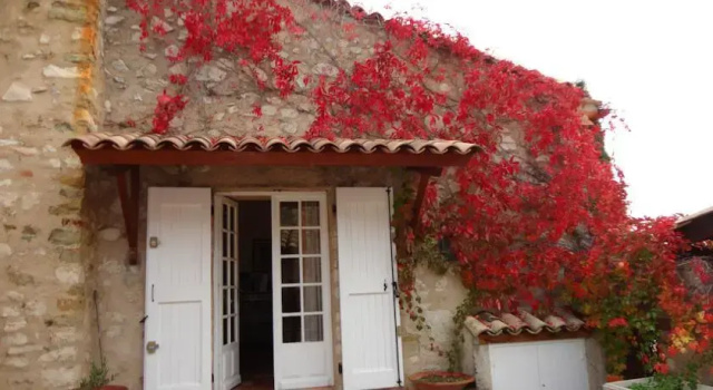 Chateau Montfort